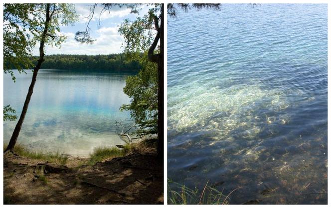 Jezioro Jasne. Zobacz najbardziej przejrzyste jezioro w Polsce