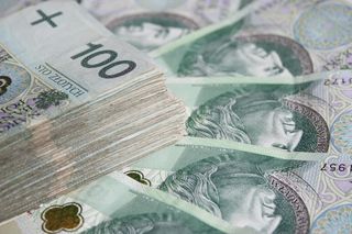 NBP nie wykazuje chęci do szybkiego kontynuowania obniżek stóp procentowych