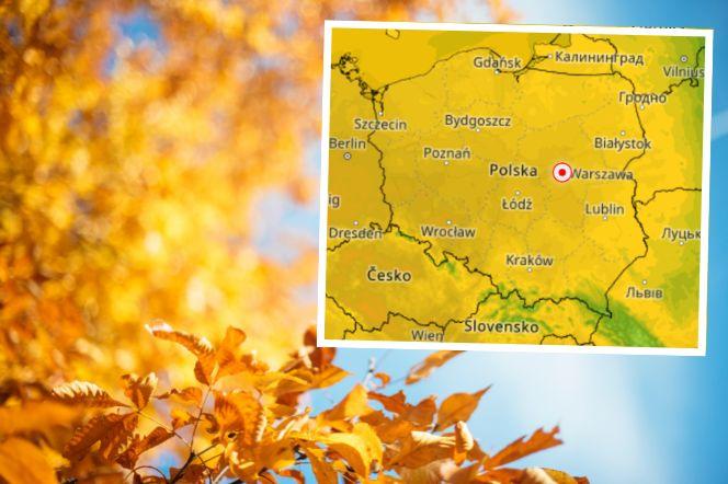 Antycyklon Timeo w Polsce. Nadciąga mocne ocieplenie! Poczujemy złotą polską jesień