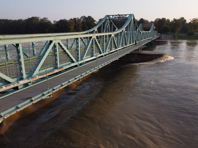 Powódź we Wrocławiu. Tak wygląda Odra w czwartek 19.09.2024 