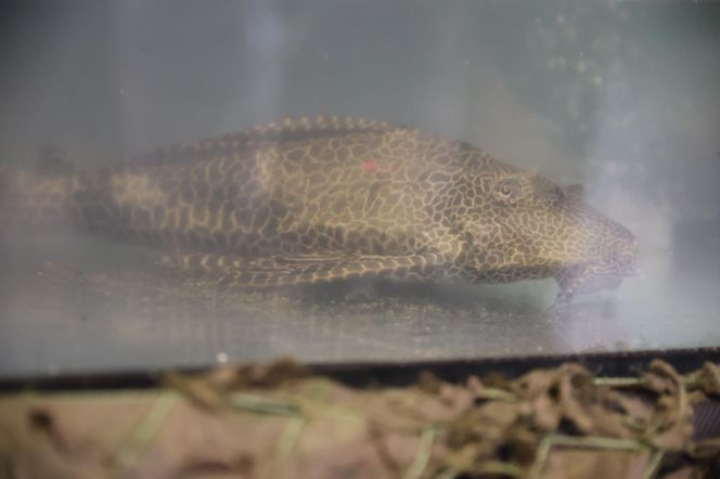 ZooPark ponownie przyciągnął do Targów Lublin tłumy miłośników zwierząt