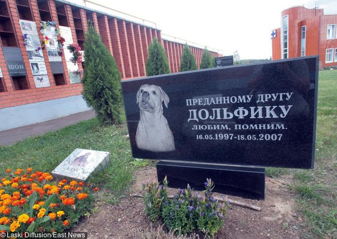 Cmentarz dla zwierząt