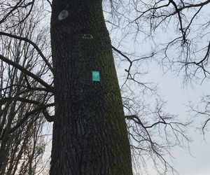 Park Kochanowskiego w Bydgoszczy, czyli serce bydgoskiej Dzielnicy Muzycznej!