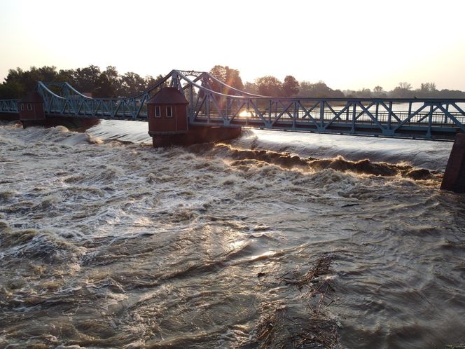 Powódź we Wrocławiu. Tak wygląda Odra w czwartek 19.09.2024 