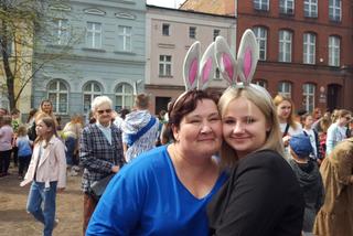 Zające chodzące i z czekolady w centrum Leszna
