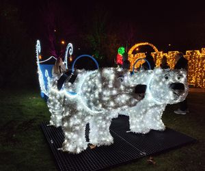 Park iluminacji w Lublinie