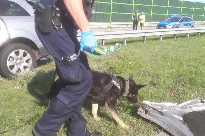 TRAGICZNY wypadek na A1. Kierowcę WYRZUCIŁO z auta, drugie DACHOWAŁO. Sprawca UCIEKŁ pozostawiajac samochód