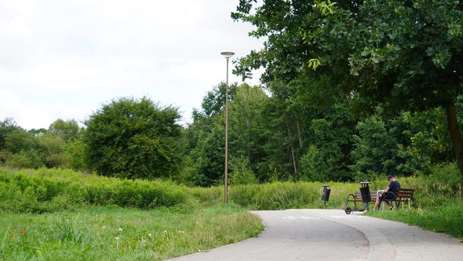 Wakacyjny spacer pod kładką nad wąwozem na Czubach. To jedno z najbardziej zielonych miejsc w Lublinie!