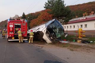 Grabownica Starzeńska. Wypadek autokaru [GALERIA]