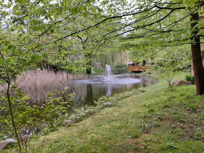 Ogród Botaniczny UKW jest jak nowy. Sprawdźcie, co się tam zmieniło!