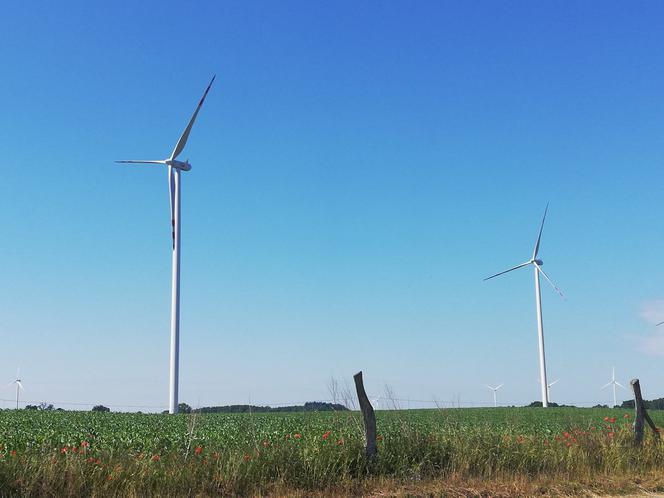 Coraz więcej odnawialnych źródeł energii w Polsce. PGE otwiera kolejne farmy wiatrowe 