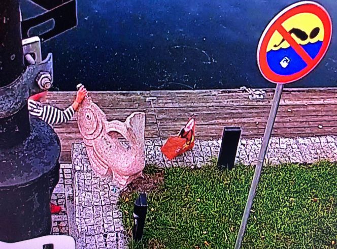 Wandal zniszczył bydgoski pomnik! Strażnicy miejscy: Napoił rybę ze swojej puszki