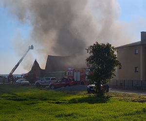 Ogromne straty po pożarze w Czeluścinie