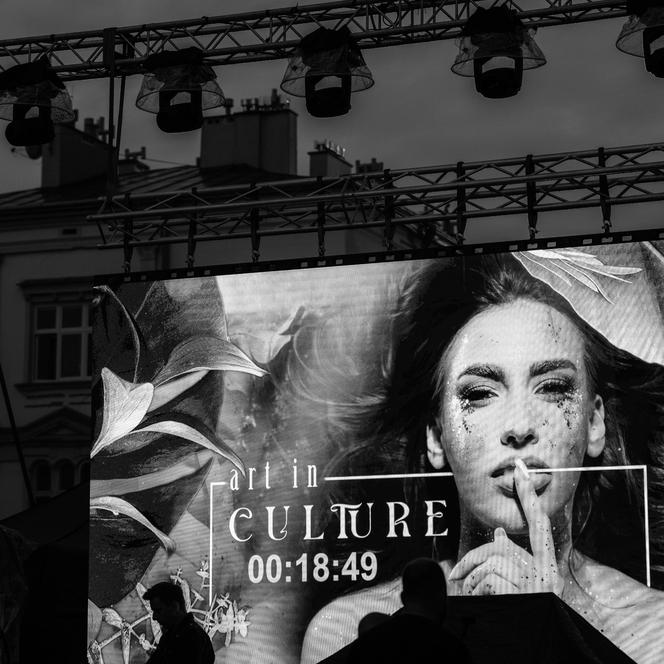  Kicz i blichtr podczas pokazu Art In Culture na Rynku w Rzeszowie