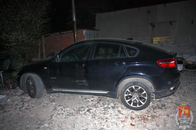 Policjanci wyciągnęli Małpę z dziupli