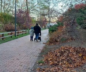 ​Statek dla dzieci w Parku Tysiąclecia w Lesznie odzyska dawny blask. Wymienią stare elementy placu zabaw, dołożą nowe