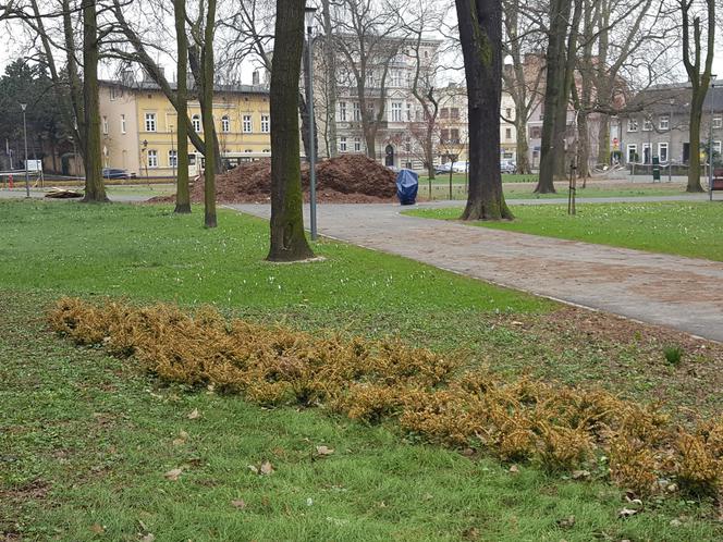W parku na Pl. Kościuszki przygotowania do nowego sezonu