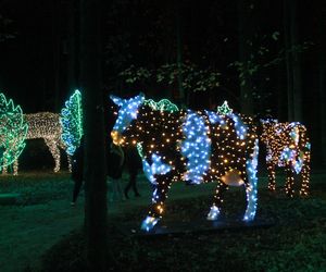 Byliśmy na otwarciu Lumina Park 2024 w Zamku Topacz