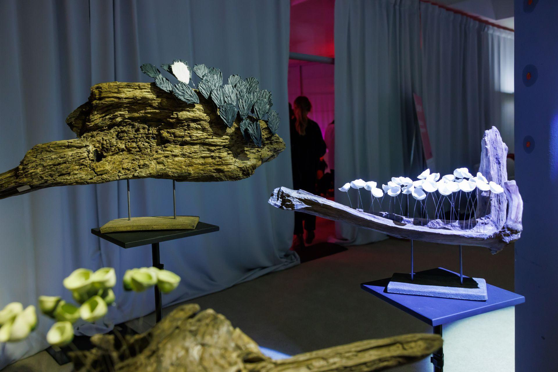 Artshow w Kamienicy Karskich w Warszawie