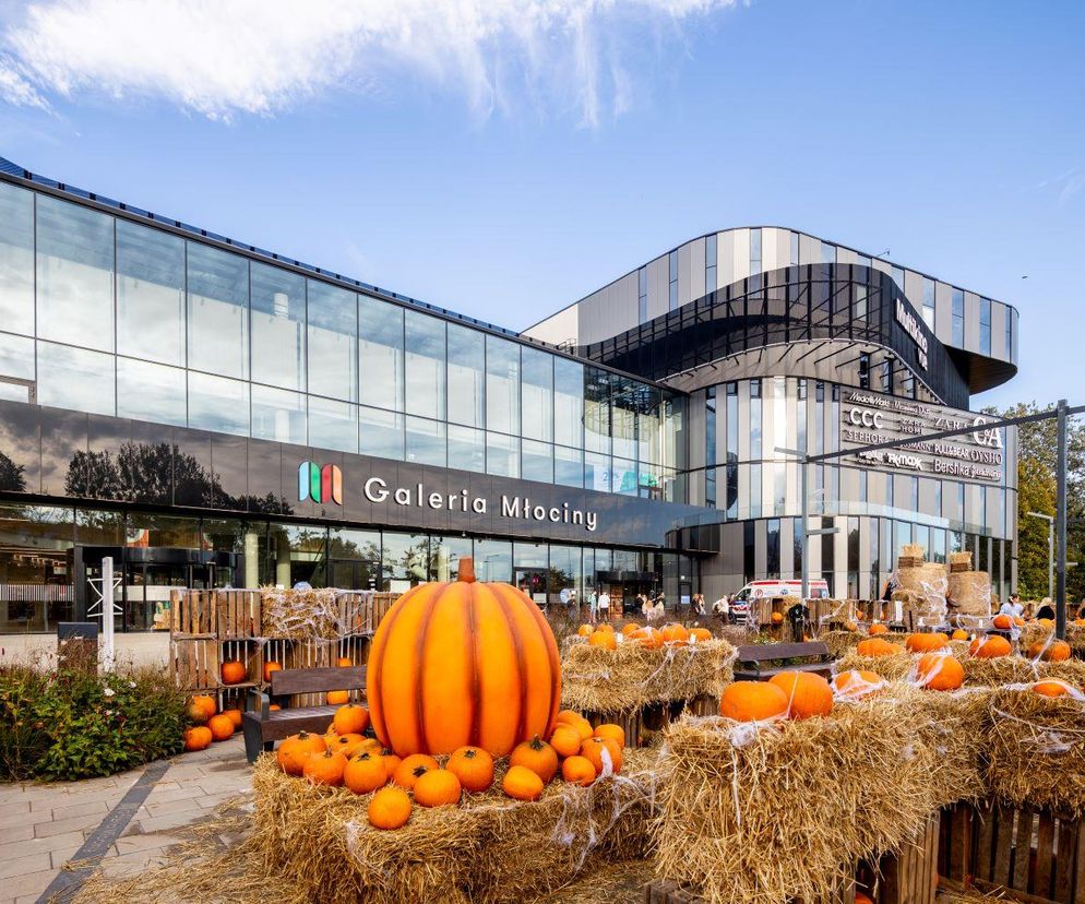 Farma Halloween stanęła przed galerią handlową w Warszawie. Miejsce do zabawy i zdjęć