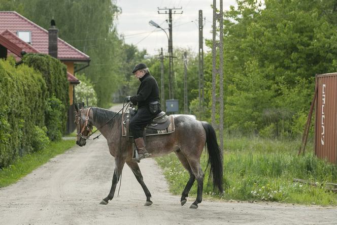 Daniel Olbrychski: Kowboj z Podkowy Leśnej