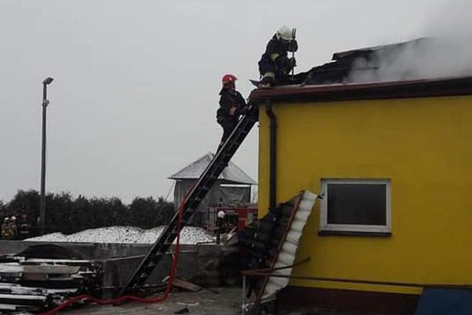 Płonie obora w powiecie chełmińskim! Na miejscu 21 zastępów straży pożarnej! [ZDJĘCIA]