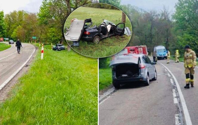 Tragedia na drodze! Czołowe zderzenie i śmierć na miejscu
