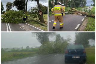 Wichury w Podlaskiem. Ponad 10 tys. obiorców bez prądu. Setki interwencji strażaków [ZDJĘCIA]