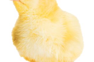 Super Fokus: Dawna magia Wielkanocy