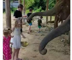 Szkoła pięcioraczków w Tajlandii