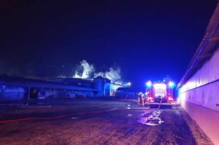 Gigantyczny pożar pod Kaliszem