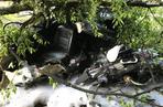 Katowice: Kierowca BMW uderzył w drzewo w Lesie Murckowskim. Jest w stanie ciężkim. 