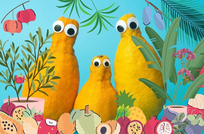 QUIZ. Warzywo czy kwiat? Odróżnisz rośliny jadalne od ozdobnych jedynie po nazwie?