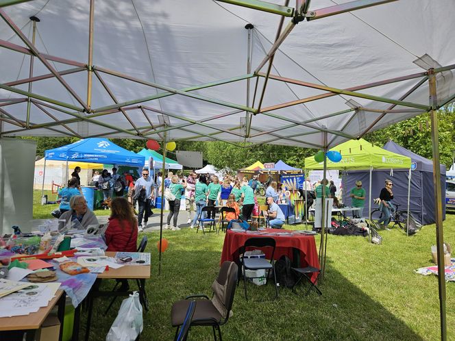 Festiwal Przyjaciół Zwierząt w Olsztynie. Park Centralny opanowały radosne pieski
