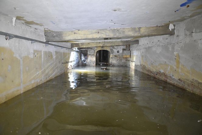 Pamiątki z Pałacu Kultury i Nauki. Historia budynku w przedmiotach 