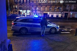 Makabra w centrum Wrocławia. Nie zauważył śmierci psa i karmił go łyżeczką 