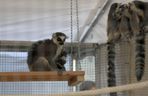 ZooPark ponownie przyciągnął do Targów Lublin tłumy miłośników zwierząt