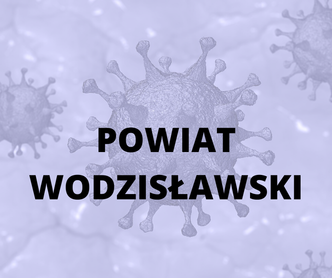 Powiat wodzisławski - 199 zakażonych
