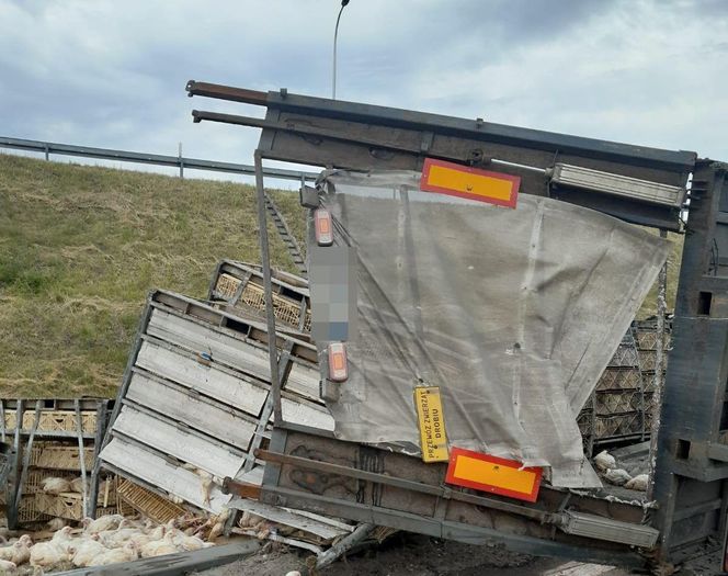 Wypadek w Elizówce koło Lublina. Kierowca został zakleszczony w pojeździe
