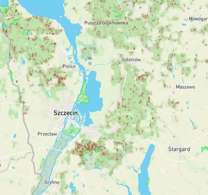 Mapa wycinki lasów 2025 - woj. zachodniopomorskie