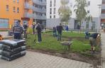 Mieszkańcy sami zazielenili sobie beton na Dąbrowskiego