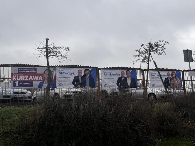 Plakatoza Szczecin 