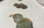 Skrzynia skarbów znaleziona podczas budowy kąpieliska w Zielonej Górze