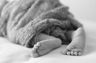 Ciało noworodka znalezione w krzakach w Wałbrzychu. Dziecko było tuż po narodzinach