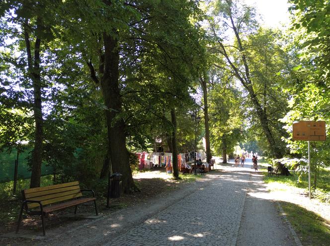 Park w Zwierzyńcu