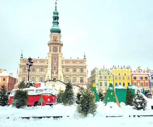 Zamość przystroił się na święta. Na Rynku Wielkim można już podziwiać świąteczne dekoracje