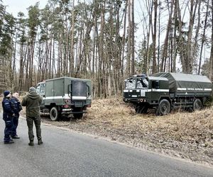 Dziki odkopały niewybuchy z czasów II wojny światowej. Saperzy zabezpieczyli 21 pocisków 