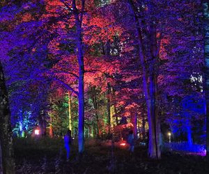 Olsztyn zamienił się w magiczną krainę. Park Świateł przyciągnął tłumy!