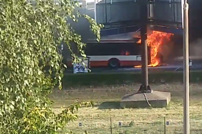 Pożar autobusu w Gdańsku