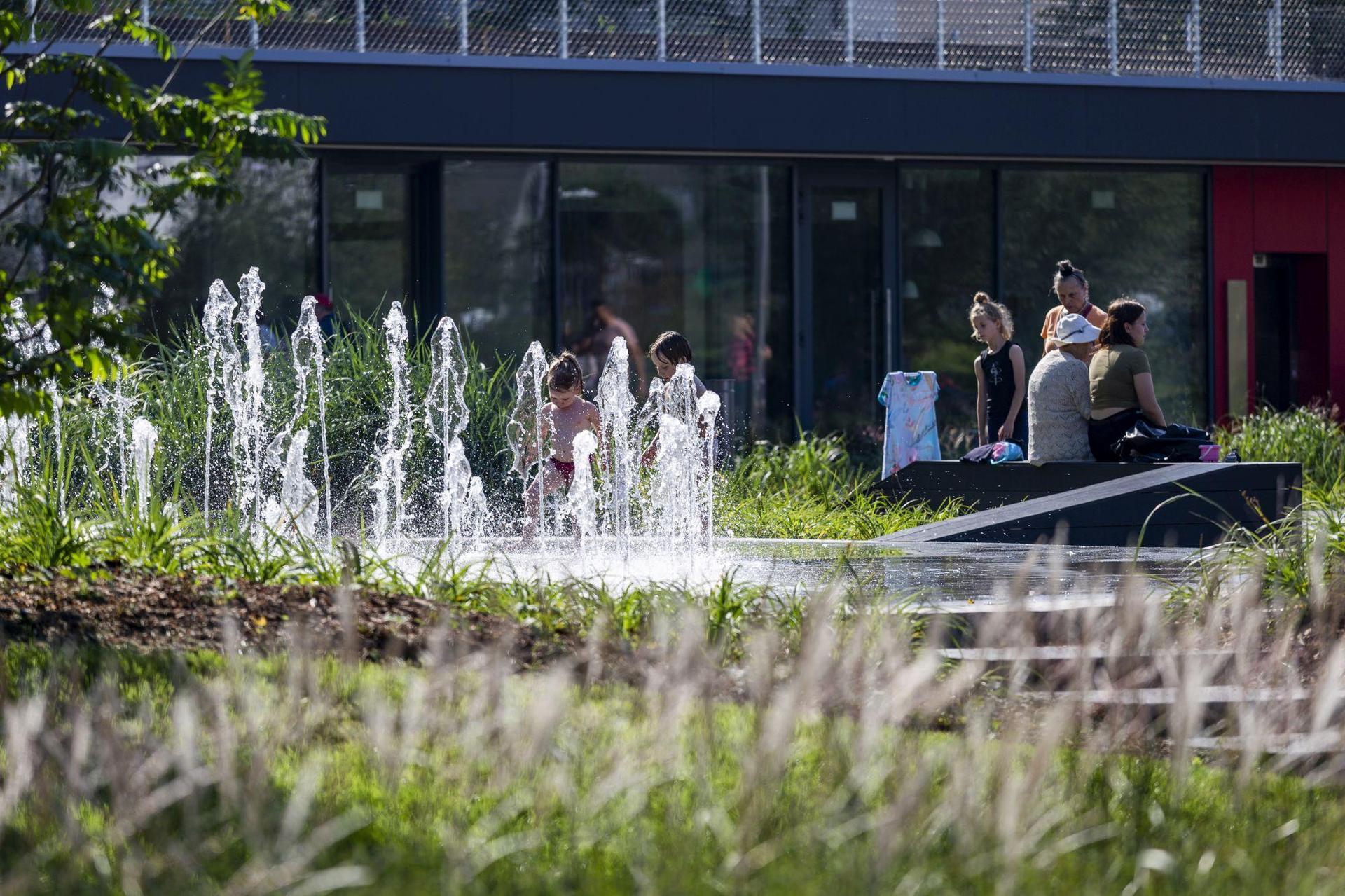 Park Centralny w Gdyni